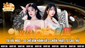 Tài Xỉu MD5 - Cơ Chế Vận Hành Và 3 Chiến Thuật Từ Cao Thủ